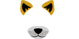 Chic Pet Bags